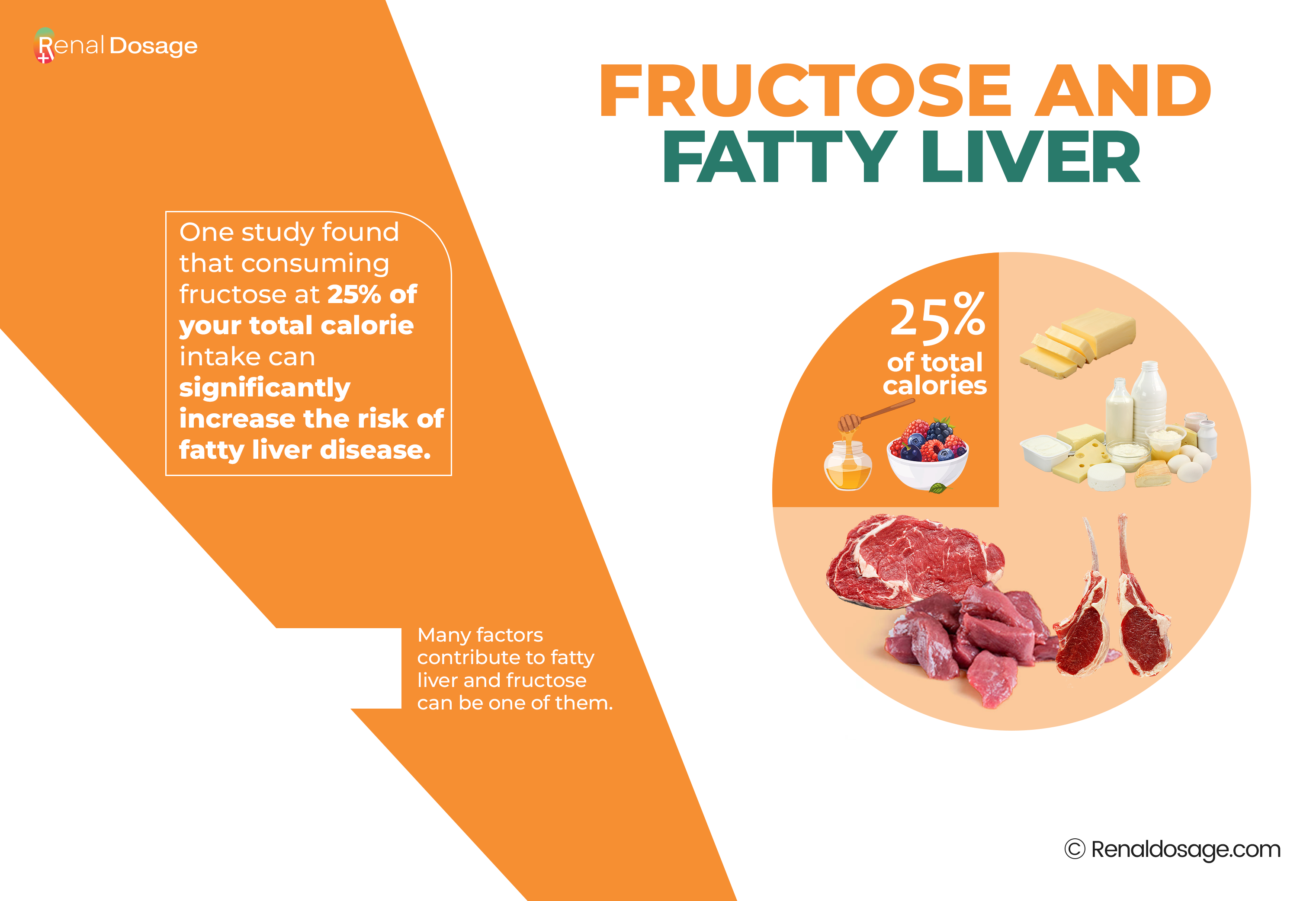 FRUCTOSE AND FATTY LIVER